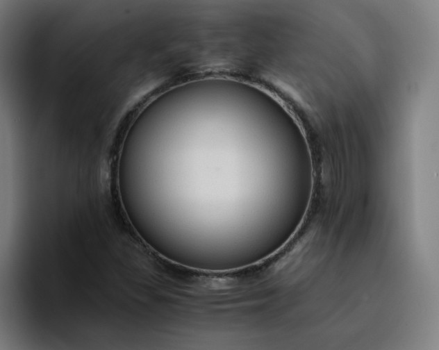 X0000094371309200711162102