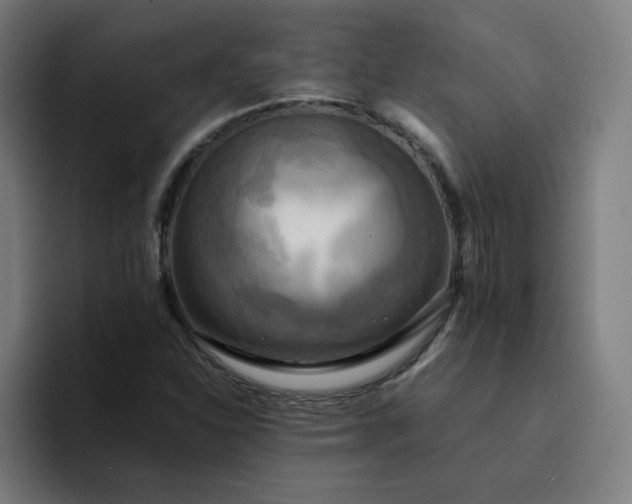 X0000094371310200711162102