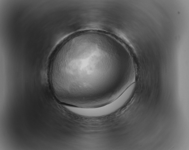 X0000094371312200711162102