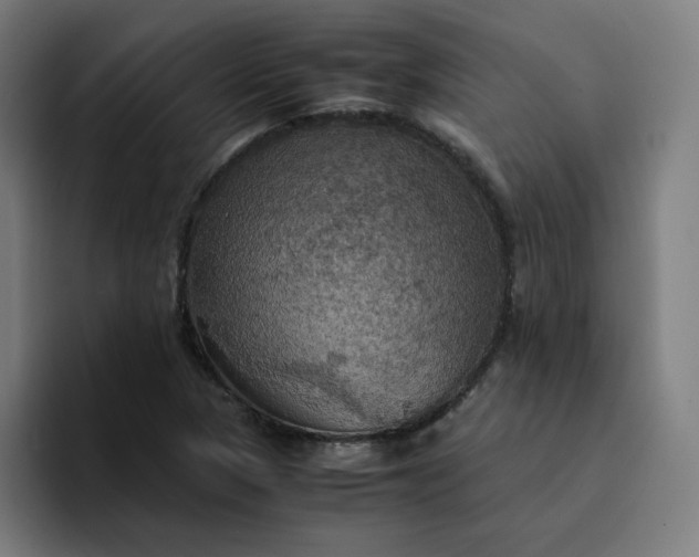 X0000094371313200711162102