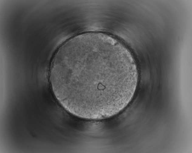 X0000094371314200711162102
