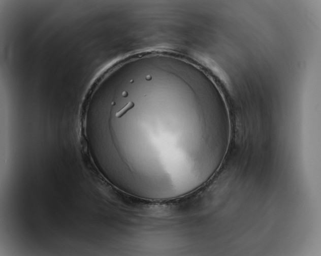 X0000094371316200711162103