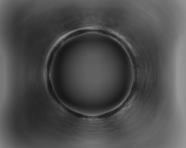 X0000094371319200711162103