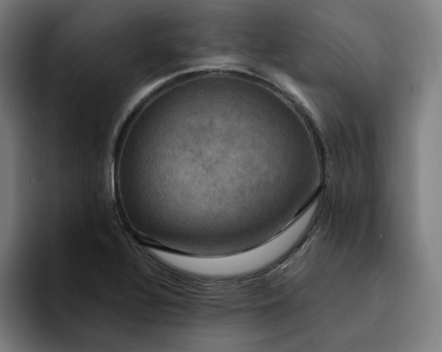X0000094371320200711162103