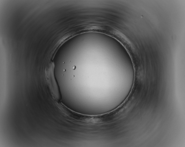 X0000094371321200711162103