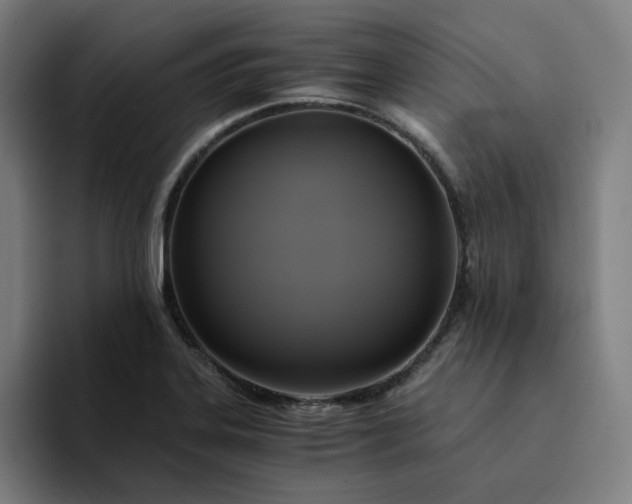 X0000094371323200711162103