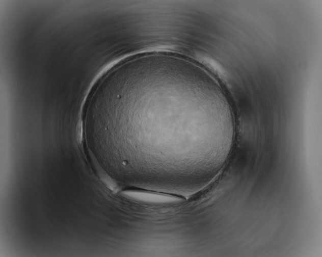 X0000094371324200711162103