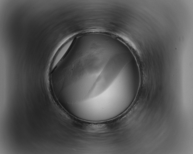 X0000094371325200711162103