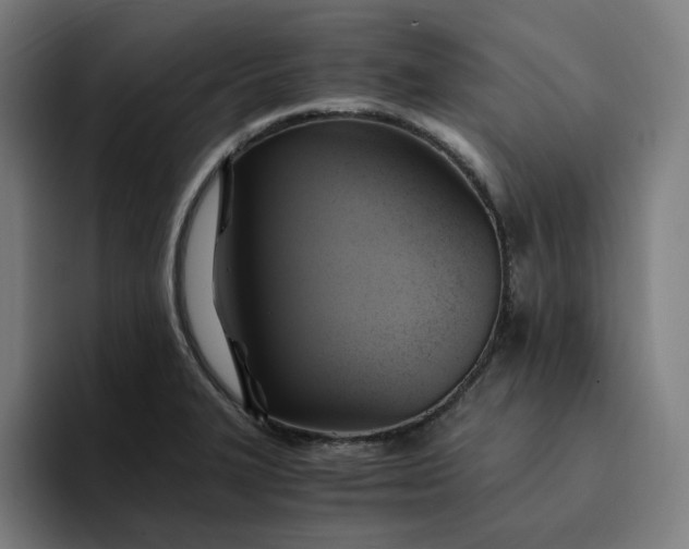 X0000094371327200711162103