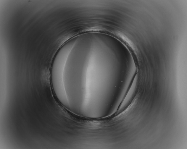 X0000094371329200711162103