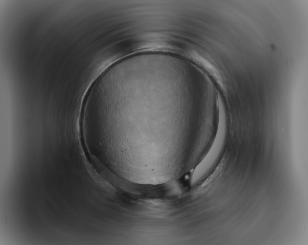 X0000094371330200711162103