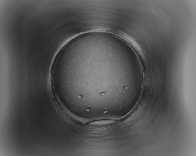 X0000094371332200711162103