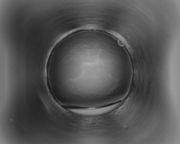 X0000094371335200711162103