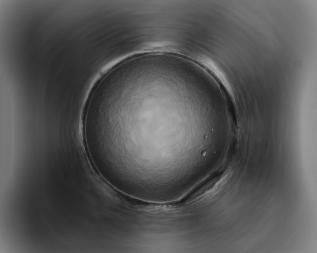 X0000094371336200711162103