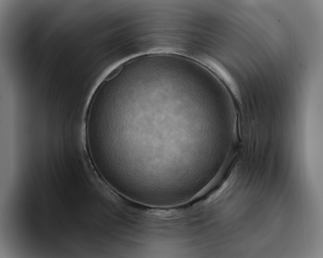X0000094371340200711162103