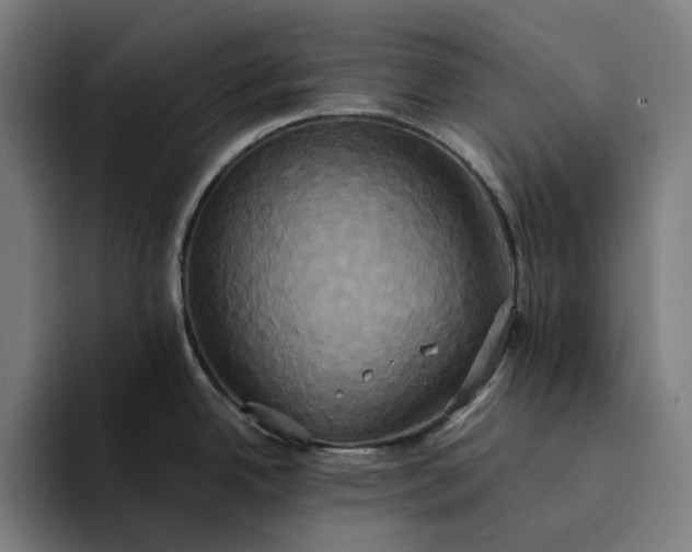 X0000094371342200711162103