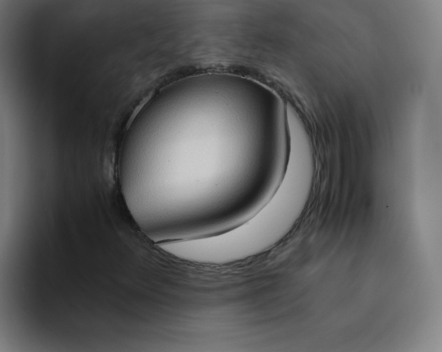 X0000094371348200711162102