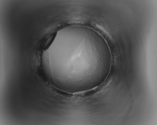 X0000094371350200711162102