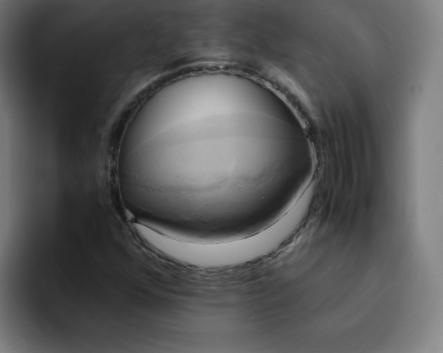 X0000094371352200711162102