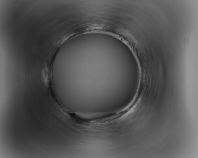 X0000094371353200711162102