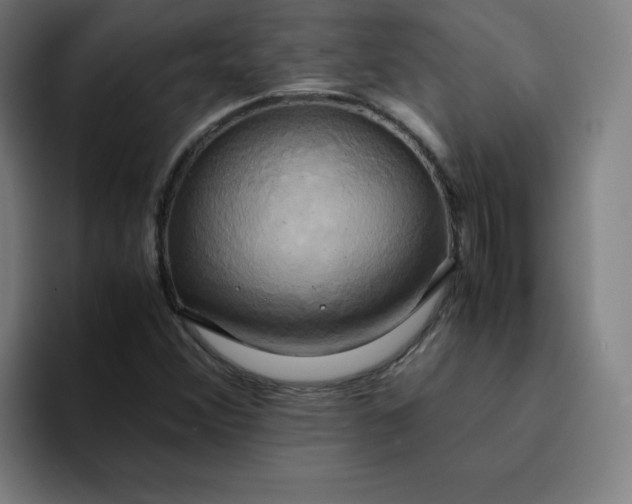 X0000094371356200711162102