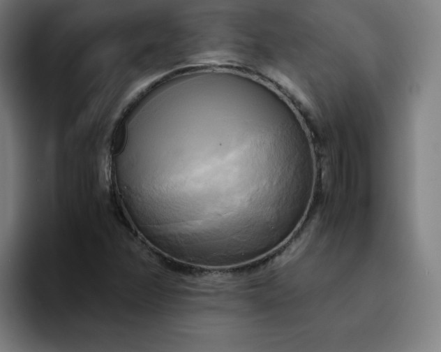 X0000094371358200711162102