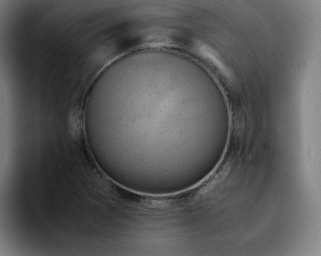 X0000094371361200711162102
