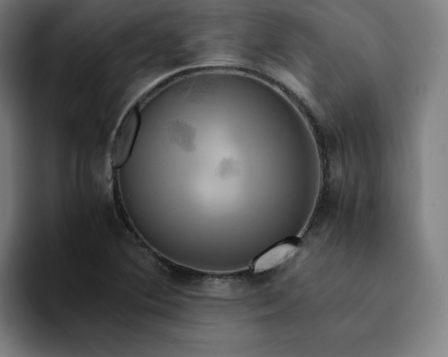 X0000094371364200711162102