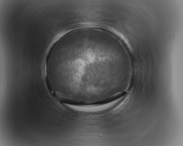 X0000094371365200711162102