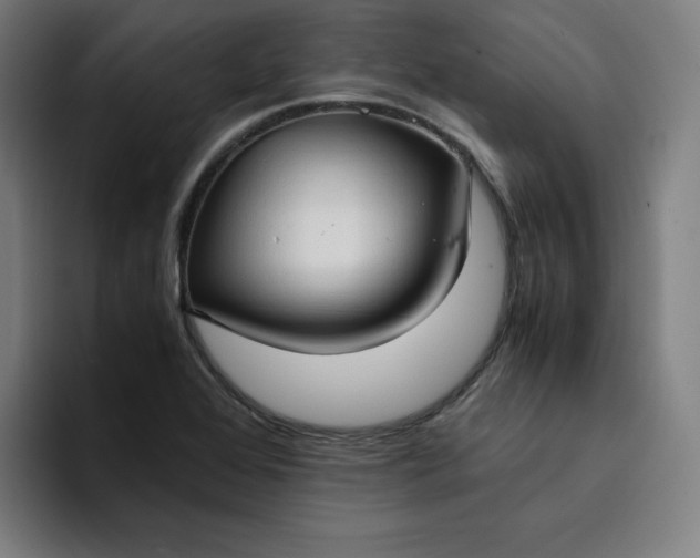 X0000094371368200711162102
