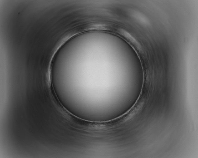 X0000094371370200711162102