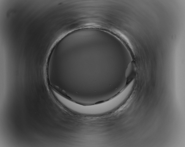 X0000094371373200711162102