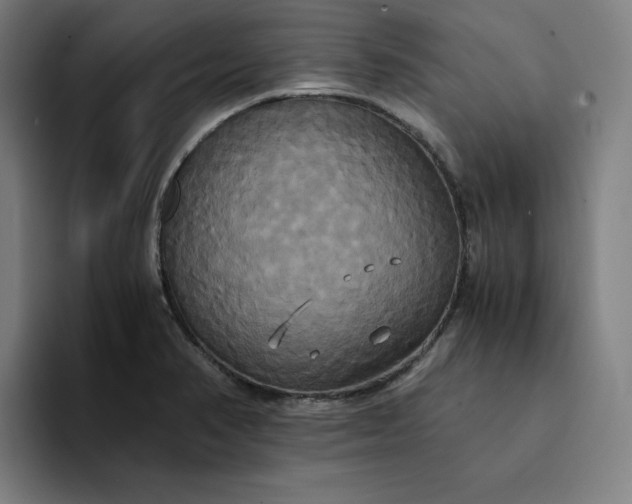 X0000094371374200711162102