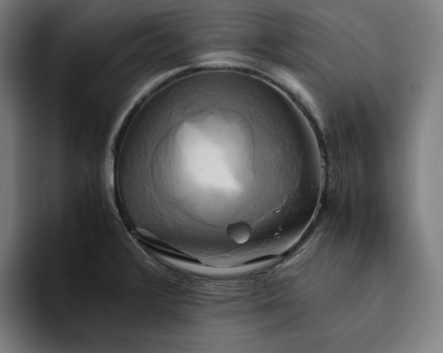 X0000094371376200711162102