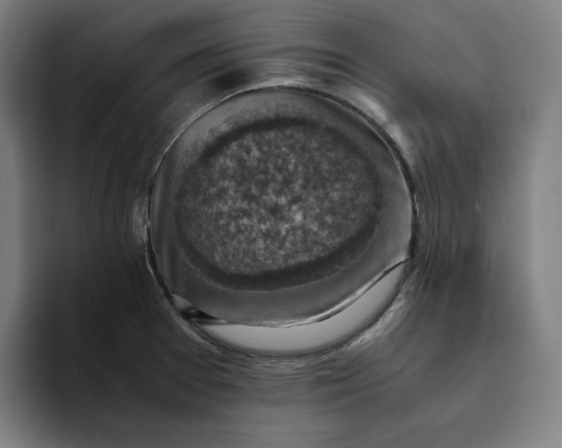 X0000094371377200711162102