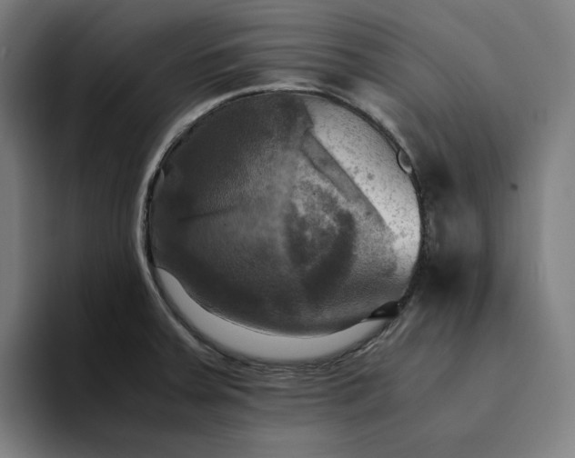X0000094371379200711162102
