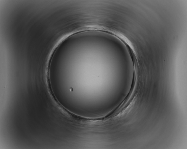 X0000094371381200711162102