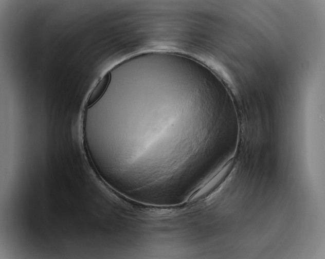 X0000094371382200711162102