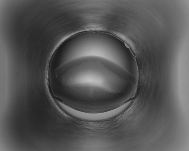 X0000094371383200711162102