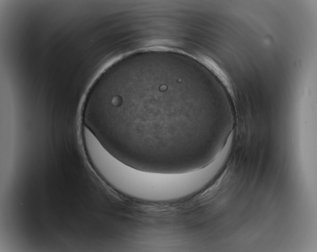 X0000094371384200711162102