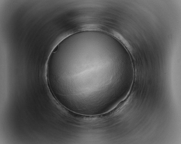 X0000094371386200711162102