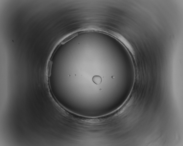 X0000094371388200711162102