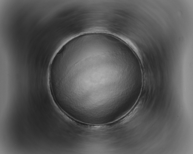 X0000094371390200711162102