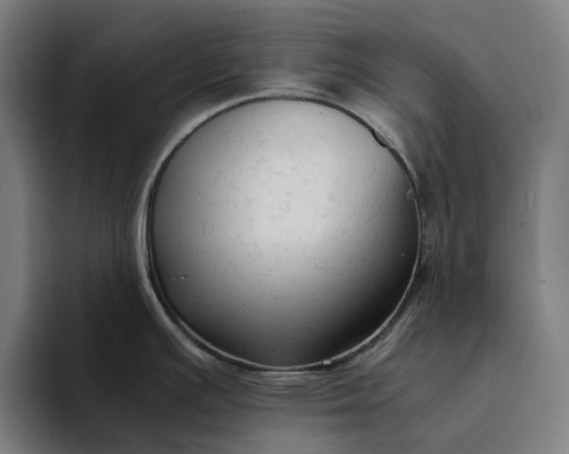X0000094371391200711162102