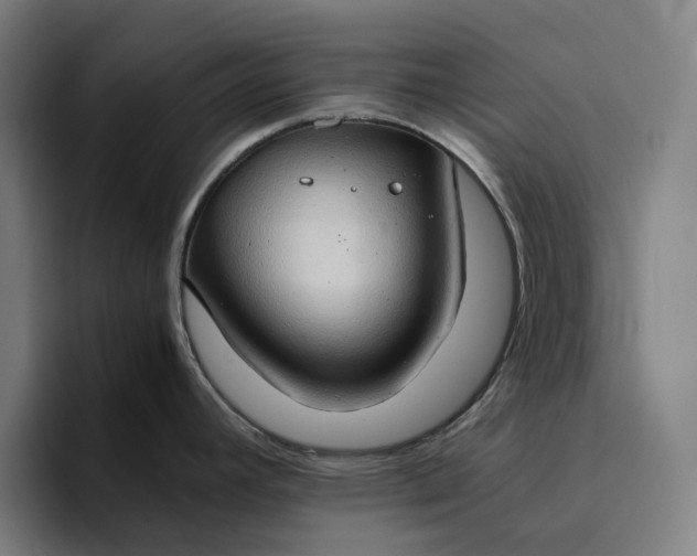 X0000094371392200711162102