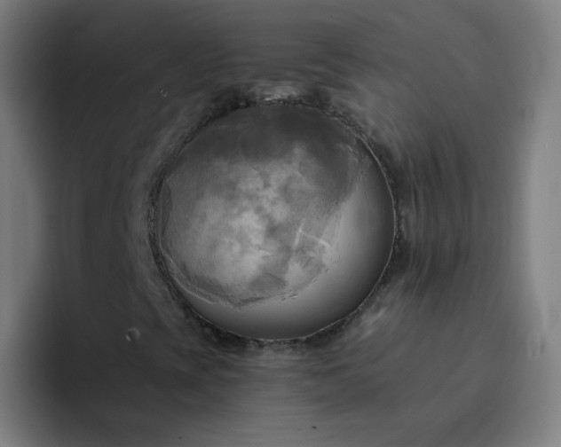 X0000094371393200711162101