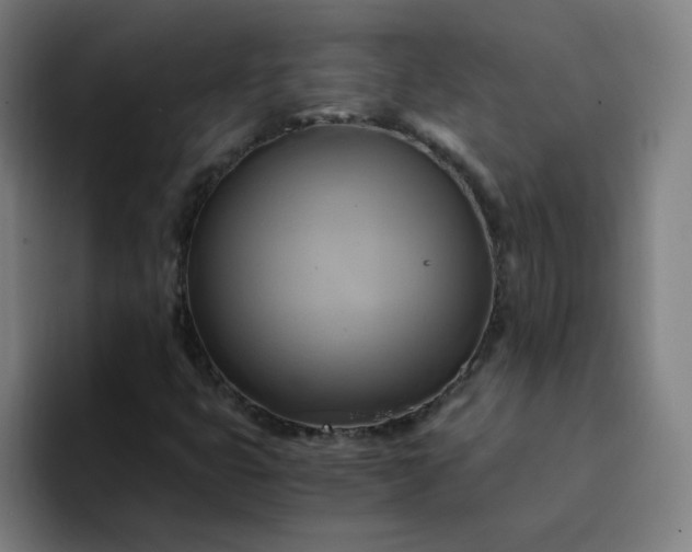 X0000094371399200711162101