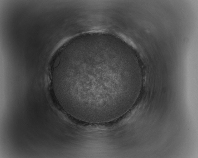 X0000094371400200711162101