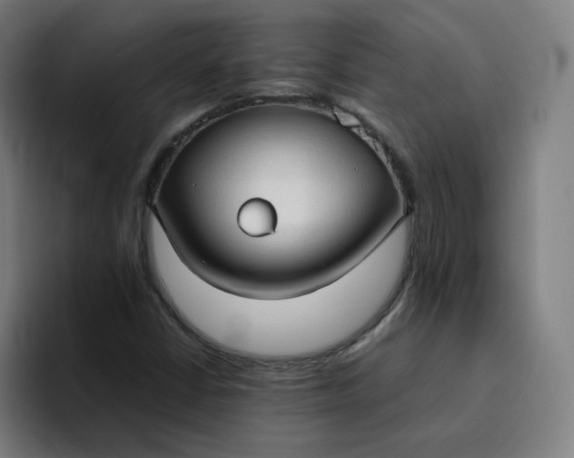 X0000094371402200711162101