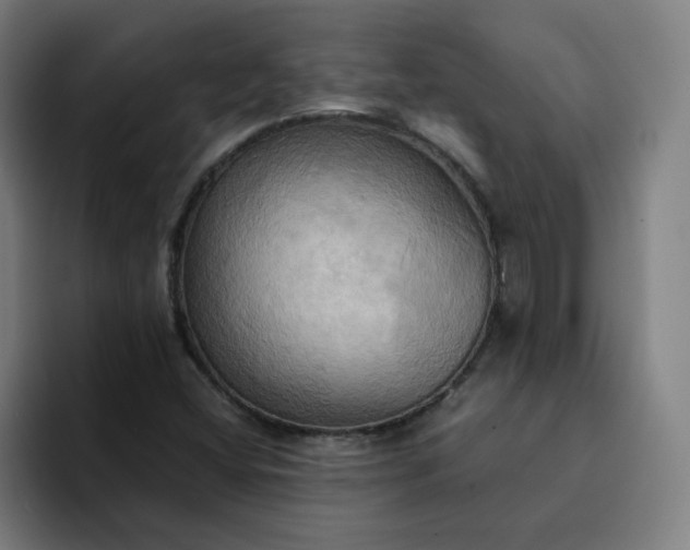 X0000094371404200711162101